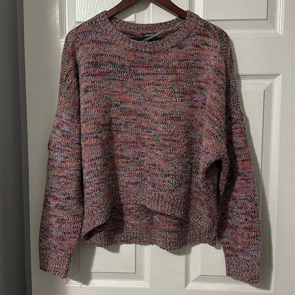 Wild Fable Sparkly Sweater